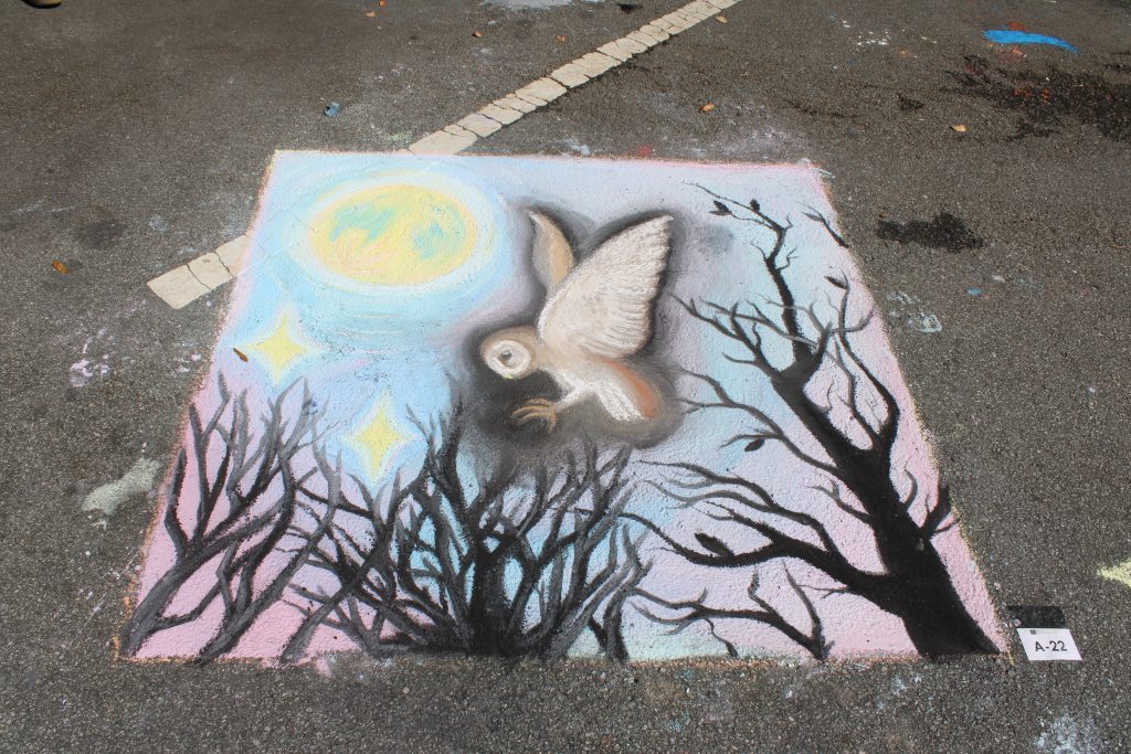 Chalk mural on pavement showing a bird with long beak among dark branch outlines and a pastel blue-pink background.